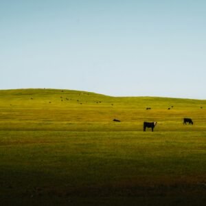 galianaweb en burgos